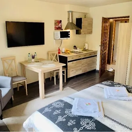 招待所 U Magika 3*